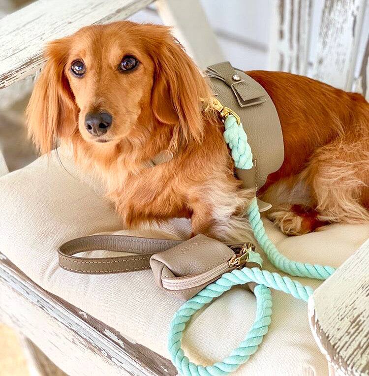 Left. PoisePup - Luxe Adjustable Leather Harness Vest, Soft with Bow and Crystal for Dogs - Gray.