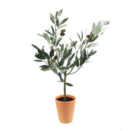 BreeBe - Potted Olive Tree Topiary 22"H - Green