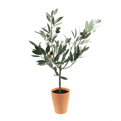 Front. BreeBe - Potted Olive Tree Topiary 22"H - Green.