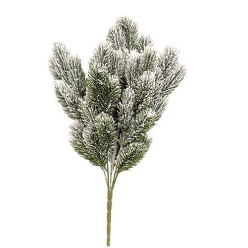 Front. BreeBe - *Snowy Pine Bush - Multi.