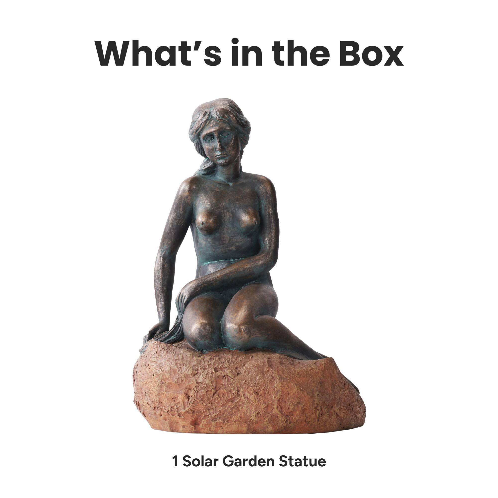 What's in the Box

1 Solar Garden Statue