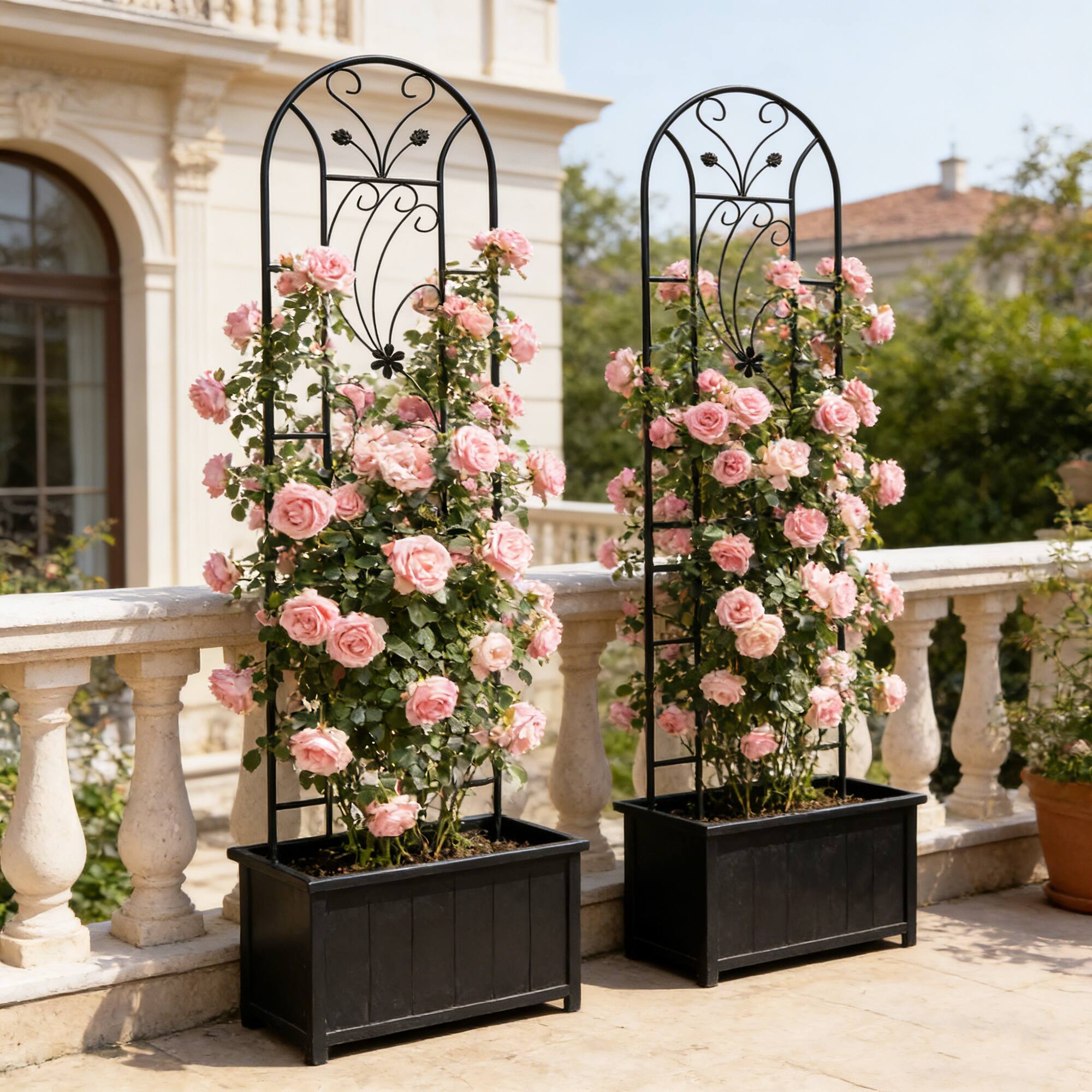 Back. Loheer - 2-Pack Rustproof Metal Garden Trellis 7.2 ft x 1.6 ft, Peacock Style Plant Support - Black.