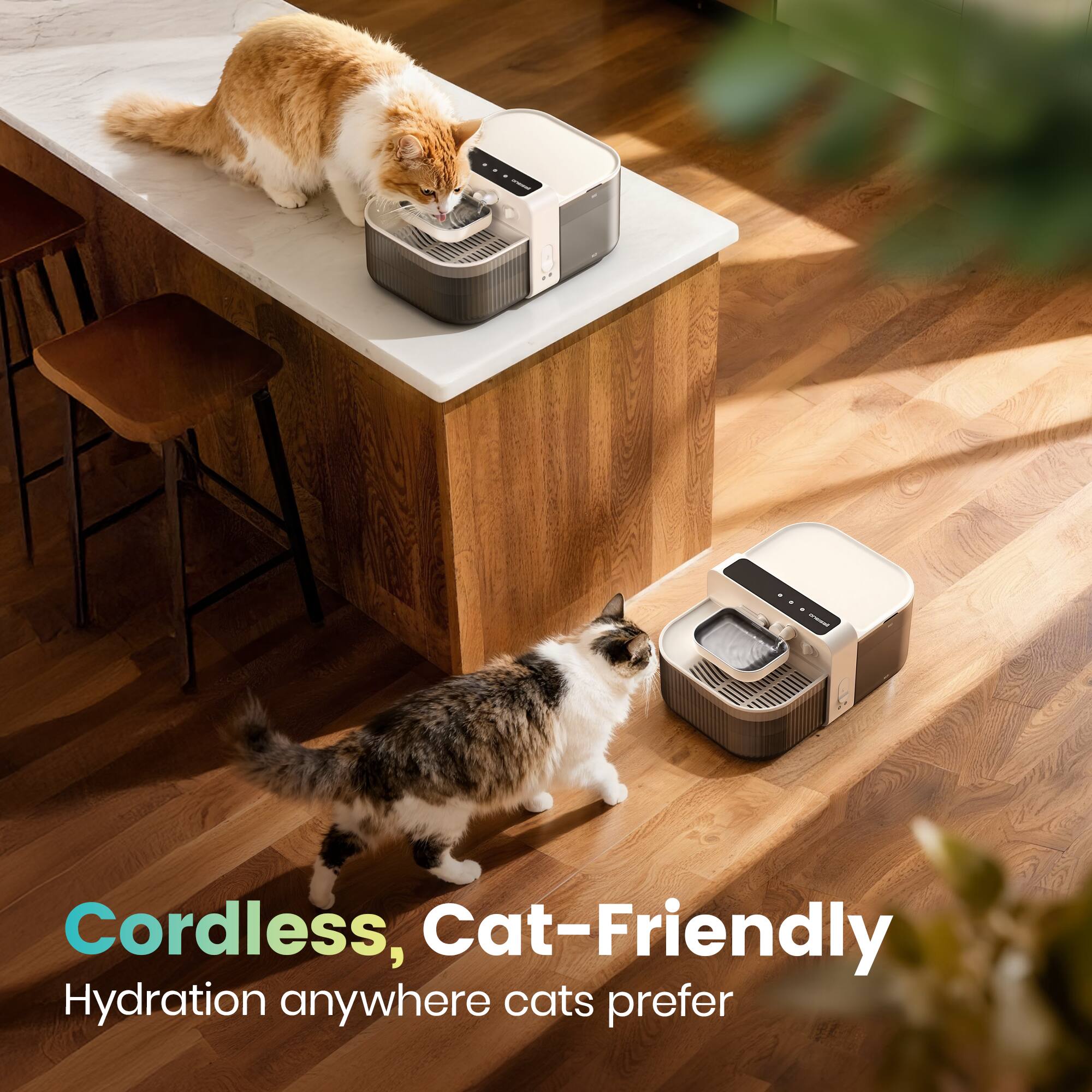 Cordless, Cat-Friendly  
Hydration anywhere cats prefer