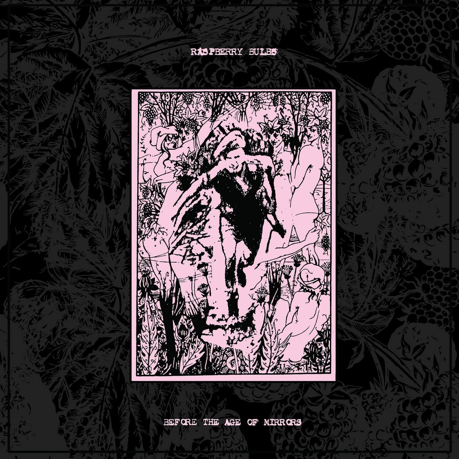Raspberry Bulbs - Before The Age Of Mirrors   - VINYL LP price history on PriceWatchPro