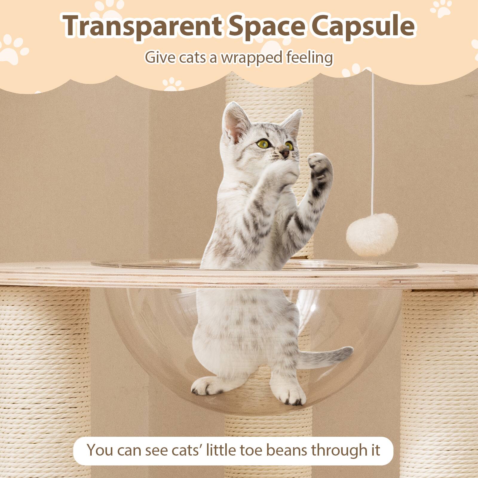 Transparent Space Capsule  
Give cats a wrapped feeling  

You can see cats' little toe beans through it