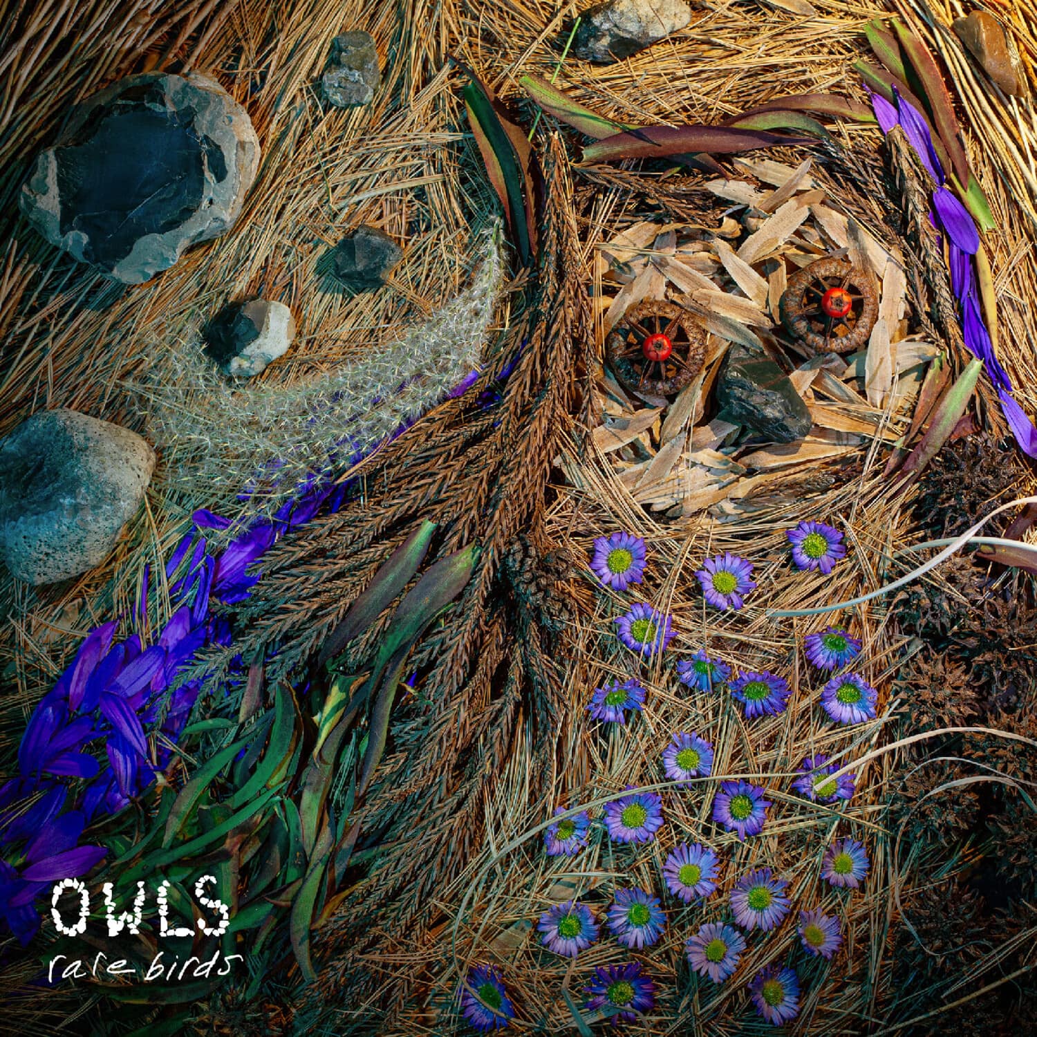 The Owls - Rare Birds   - VINYL LP price history on PriceWatchPro