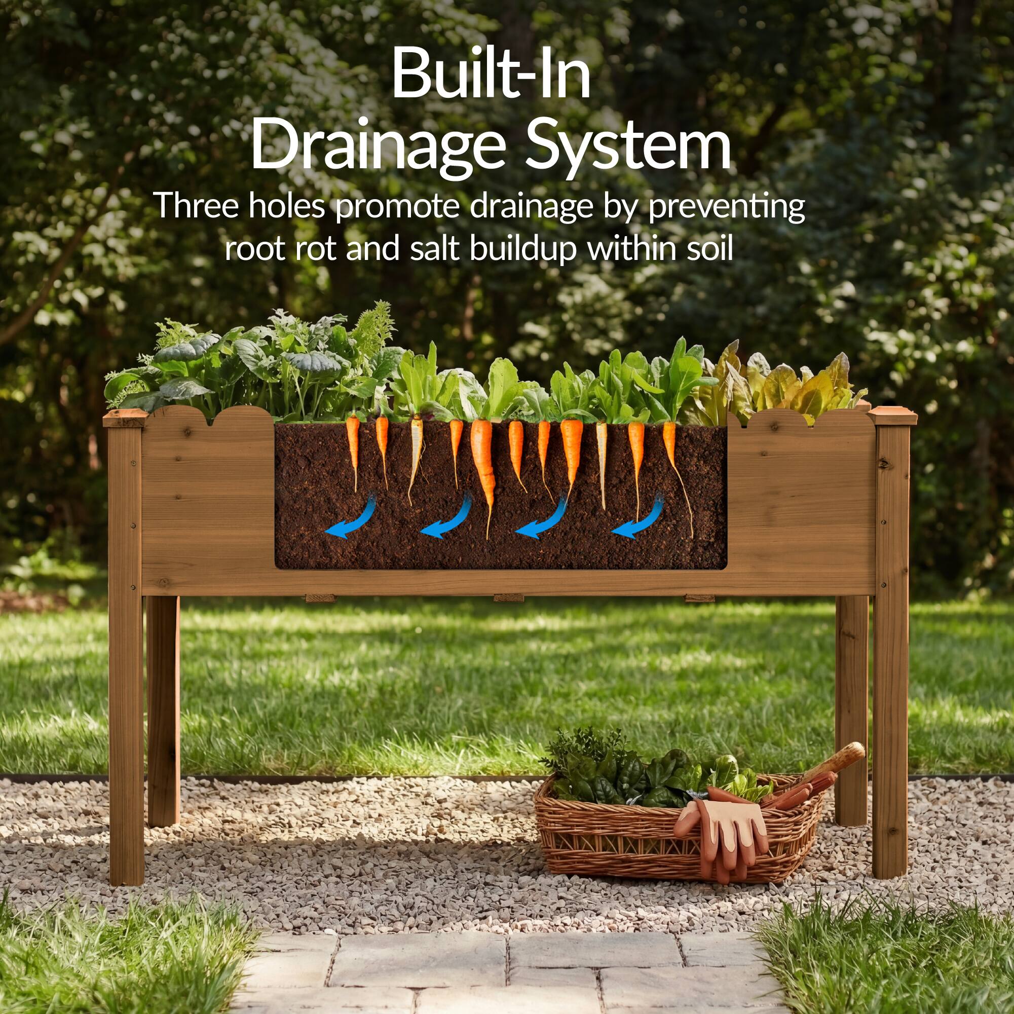 Built-In Drainage System  
Three holes promote drainage by preventing root rot and salt buildup within soil