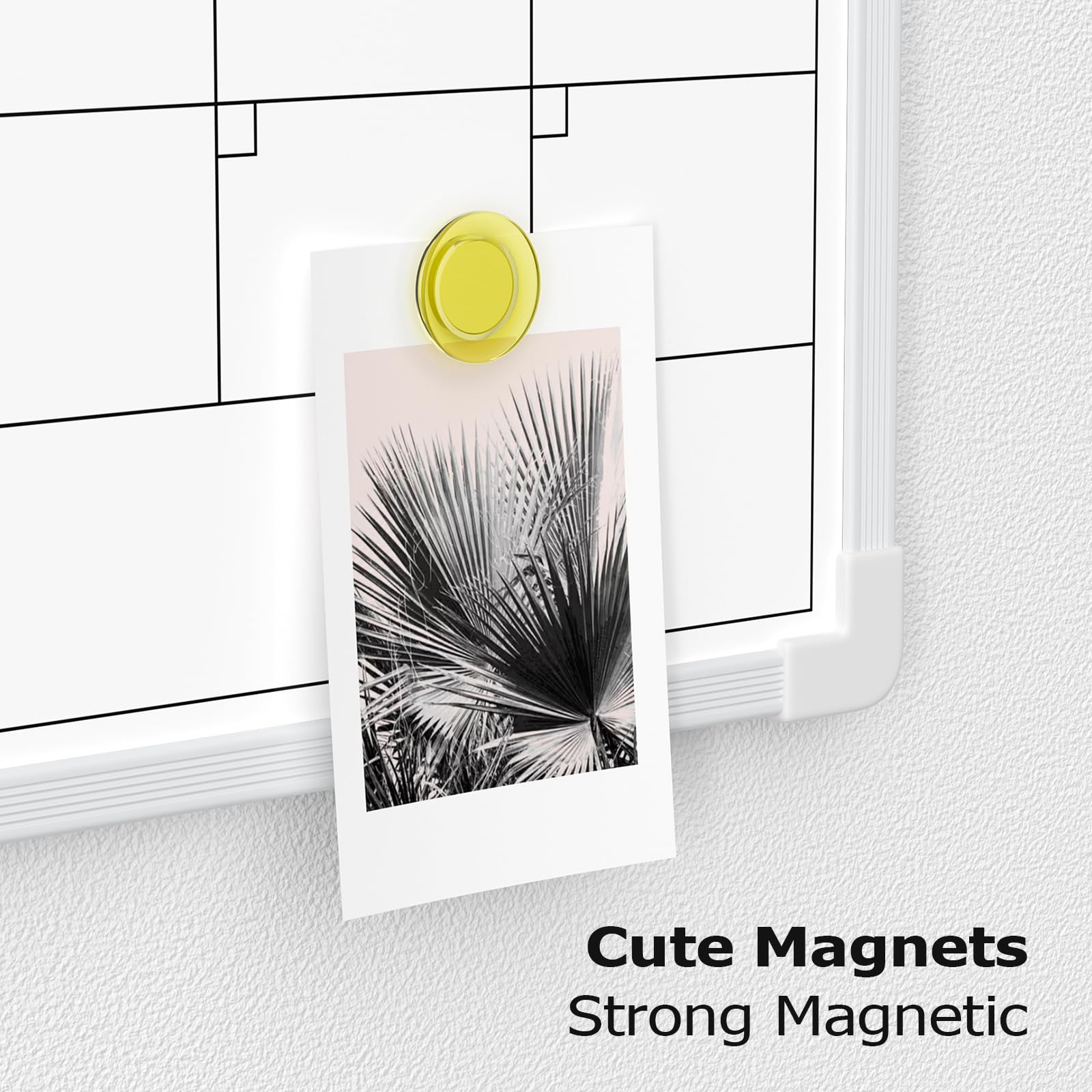 Cute Magnets  
Strong Magnetic