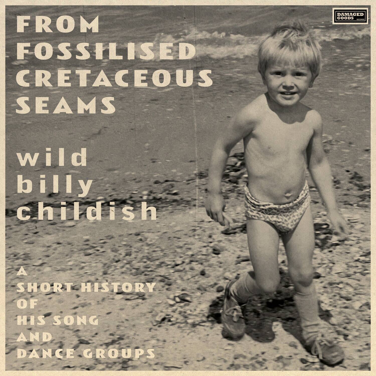 FROM FOSSILISED CRETACEOUS SEAMS

wild billy childish

A SHORT HISTORY OF HIS SONG AND DANCE GROUPS
