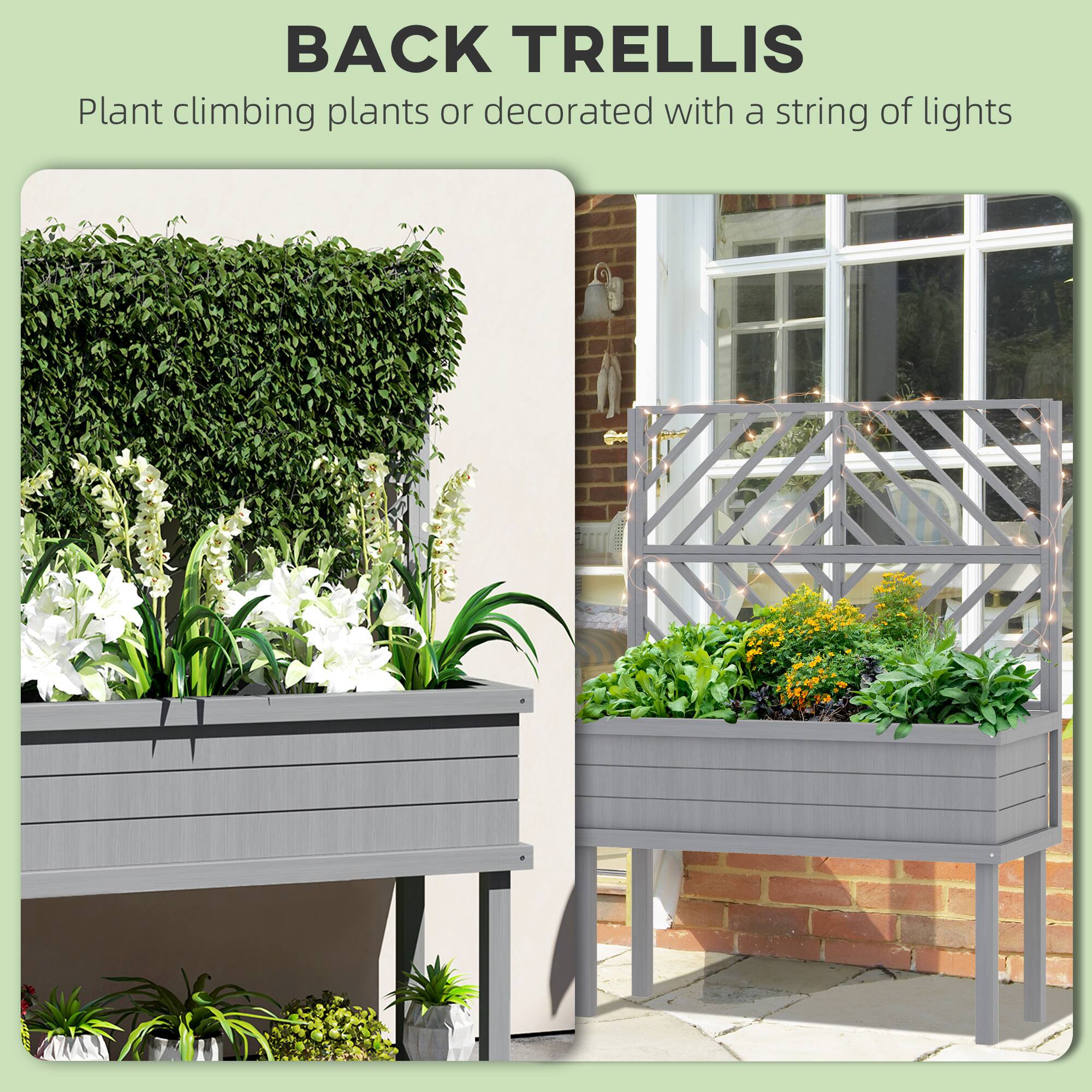 BACK TRELLIS  
Plant climbing plants or decorated with a string of lights