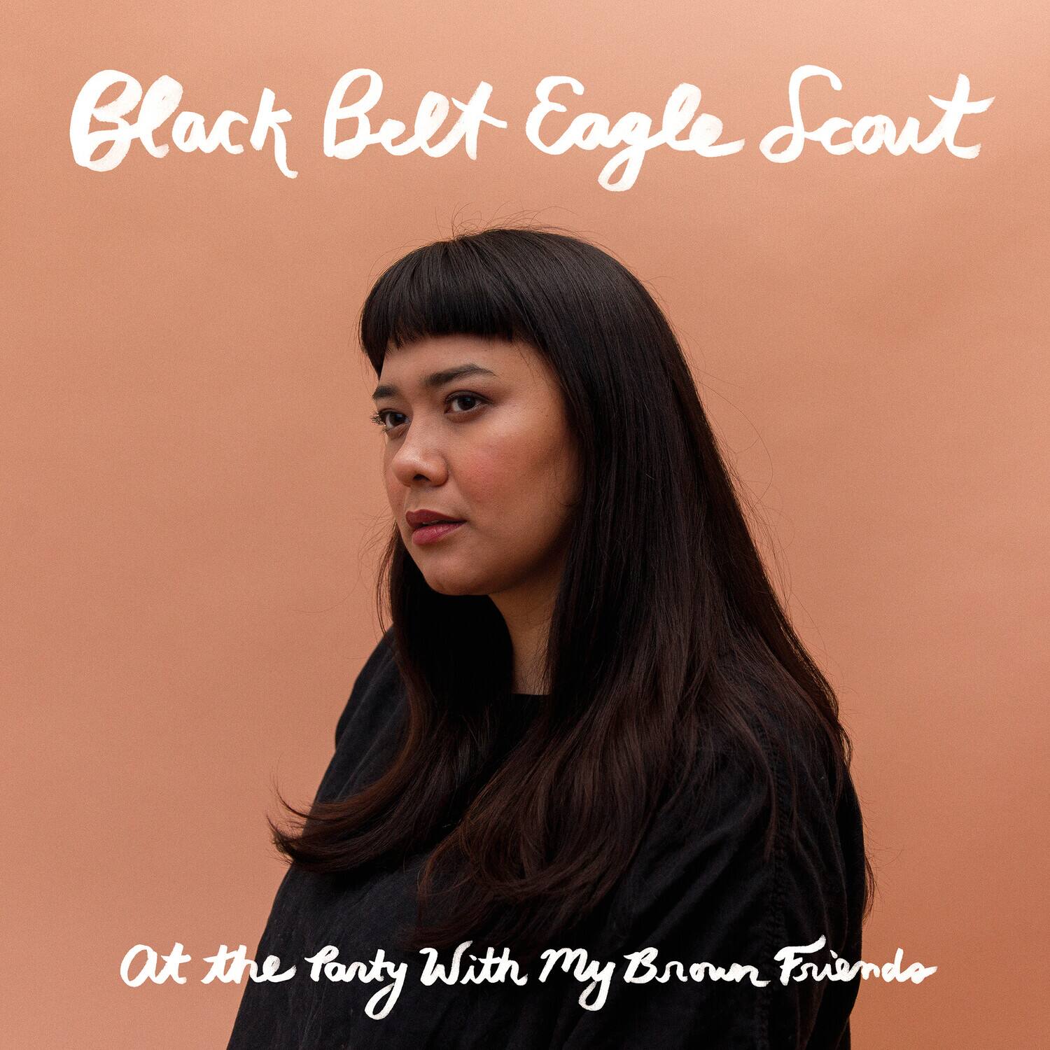 Black Belt Eagle Scout - At The Party With My Brown Friends   - COMPACT DISCS [CD] price history on PriceWatchPro