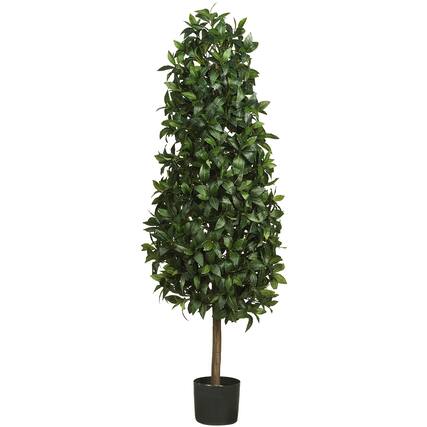 Front. BreeBe - 5' Sweet Bay Pyramid Tree w/1628 Lvs - Green.