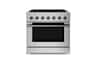 Hauslane - HausPro 36 in. 6 Burners (20,000 BTU) Freestanding Dual Fuel Range - Black Stainless Steel