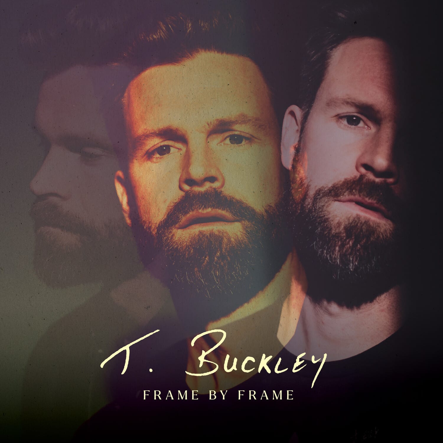 T. Buckley - Frame By Frame   - VINYL LP price history on PriceWatchPro