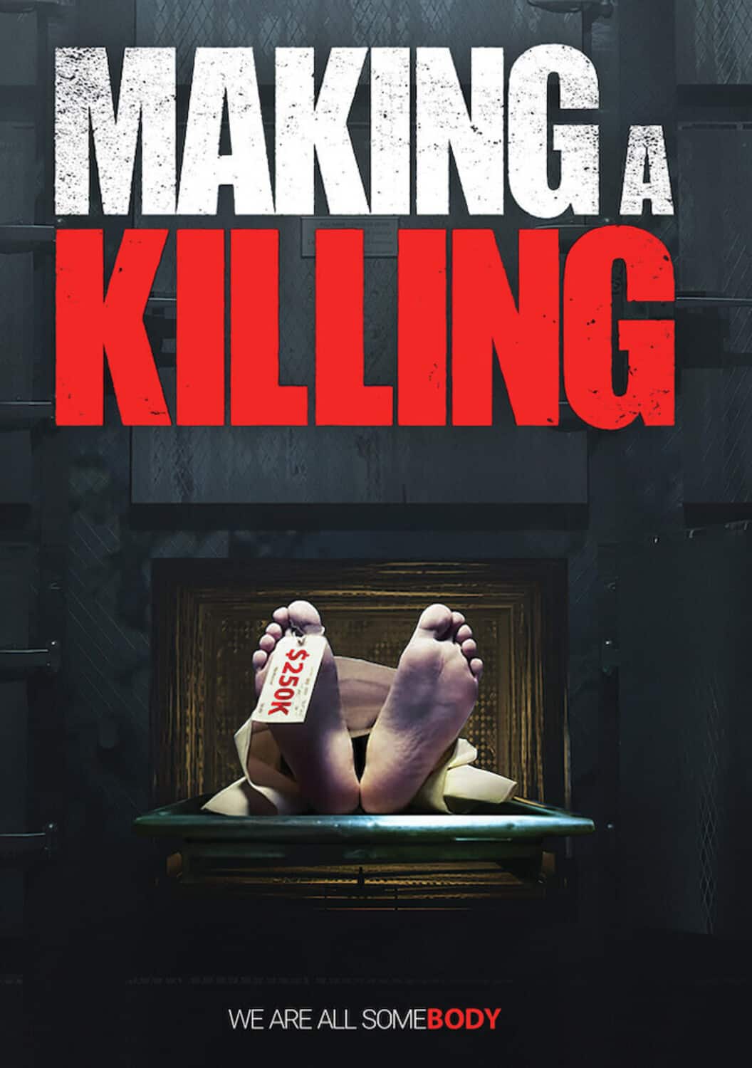 Making A Killing  - DVD