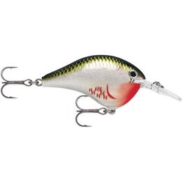 Rapala - Dives-To 06 Fishing Lure - Bleeding Olive Shiner