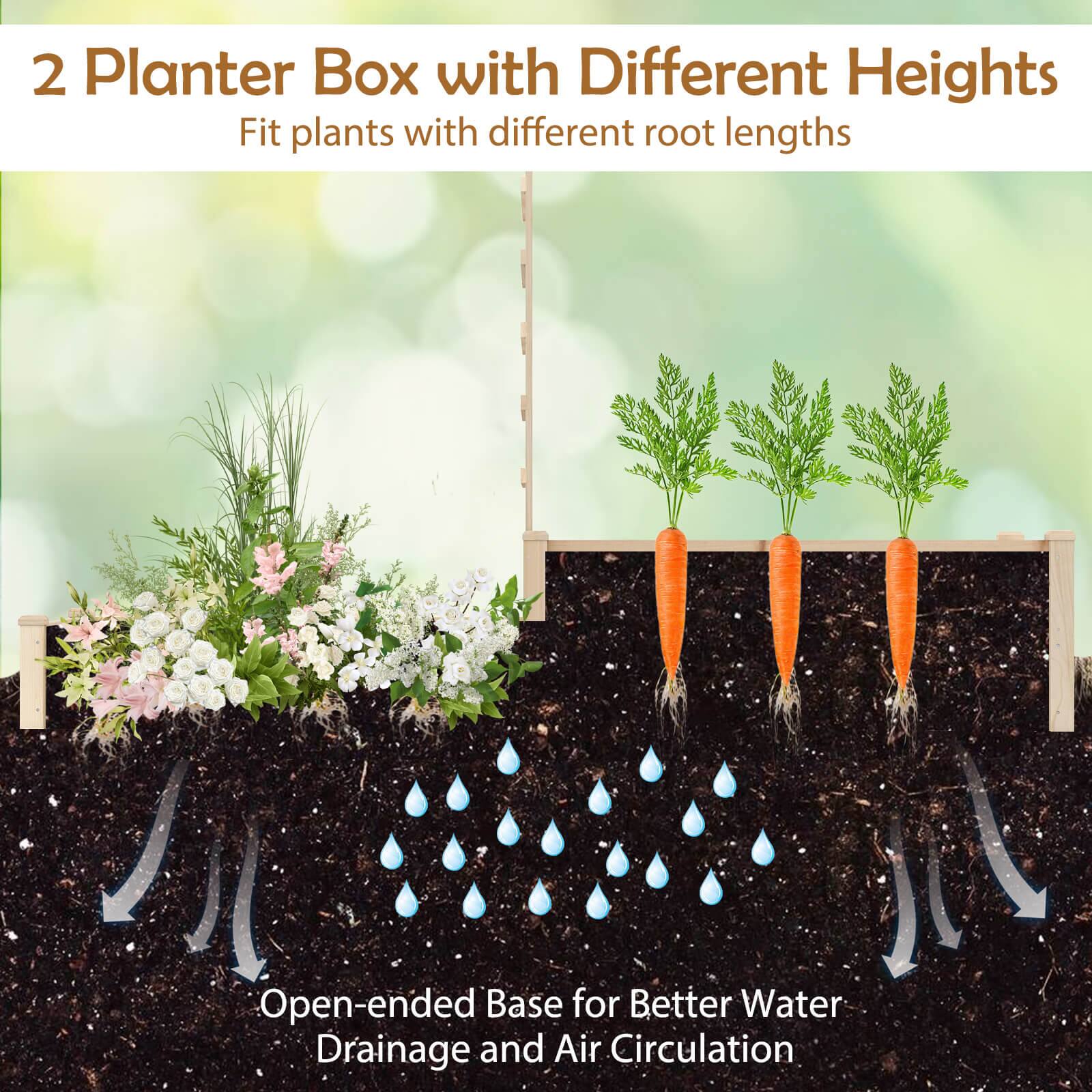 2 Planter Box with Different Heights  
Fit plants with different root lengths  

Open-ended Base for Better Water Drainage and Air Circulation