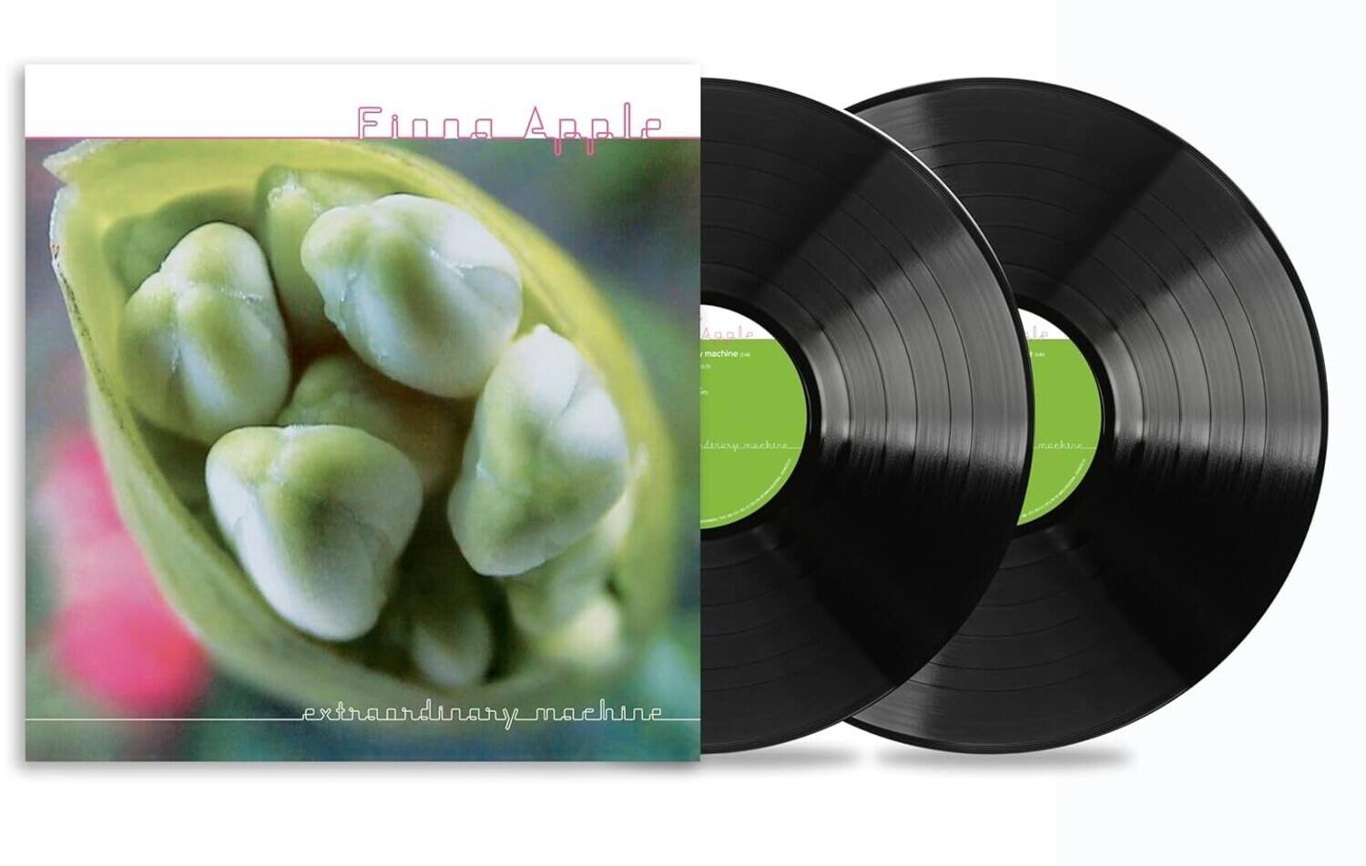 Fiona Apple  
extraordinary machine
