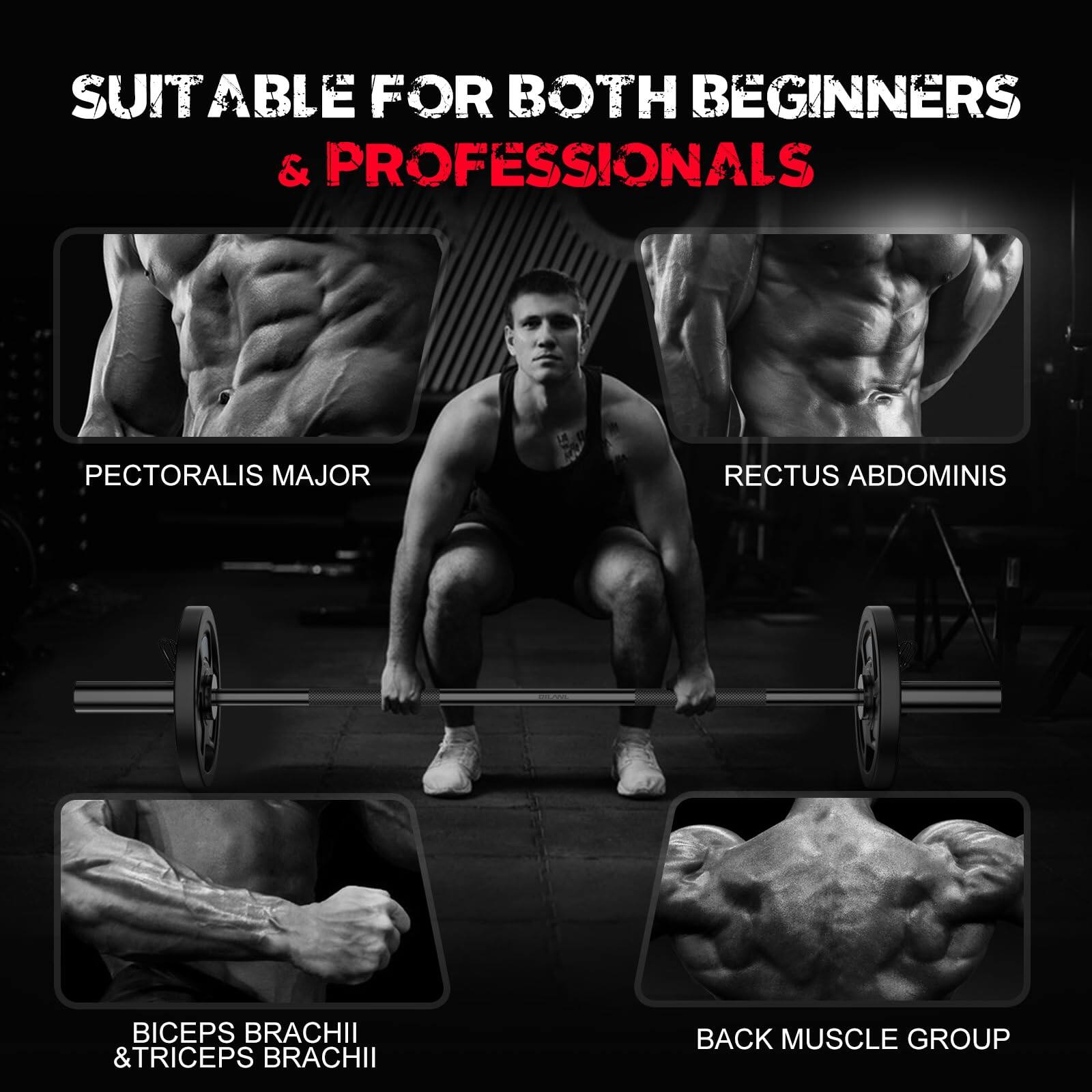 SUITABLE FOR BOTH BEGINNERS & PROFESSIONALS

PECTORALIS MAJOR

RECTUS ABDOMINIS

BICEPS BRACHII & TRICEPS BRACHII

BACK MUSCLE GROUP