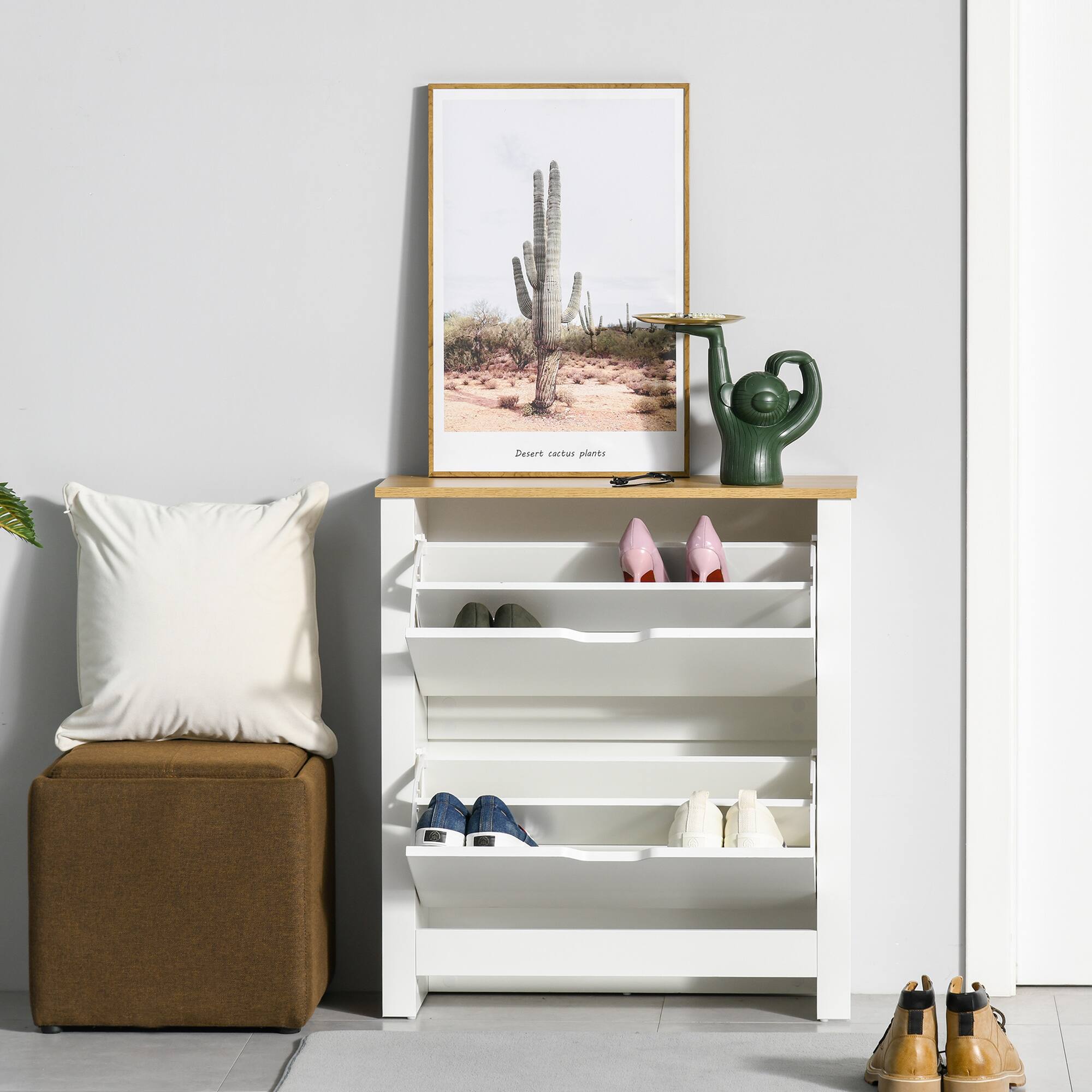 Desert cactus plants