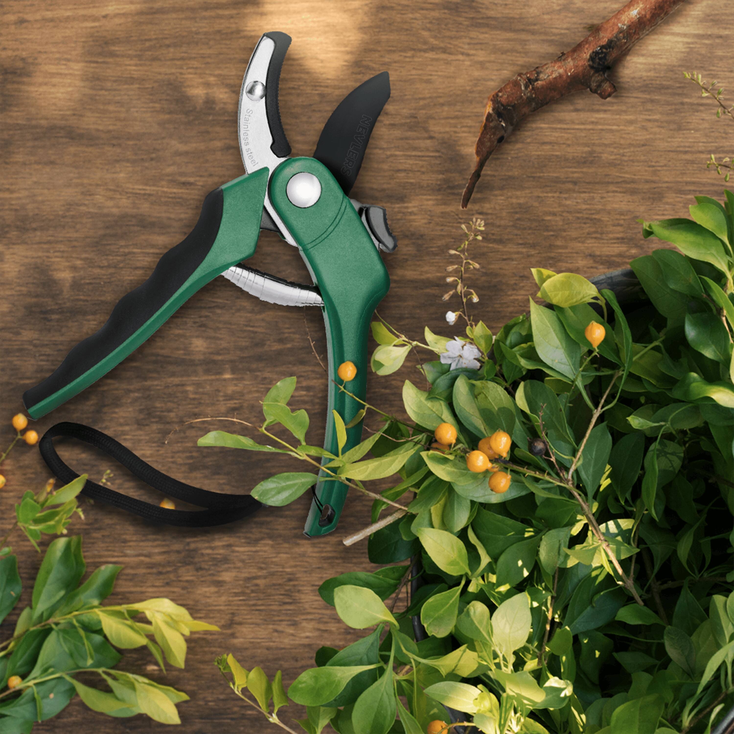 Stainless steel NEVLERS