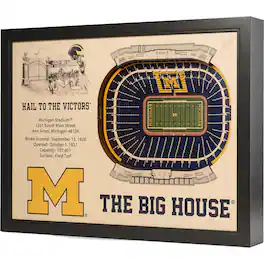 YouTheFan - Michigan Wolverines 25.5" x 19.5" Michigan Stadium Stadium Views Wall Art - Multicolor