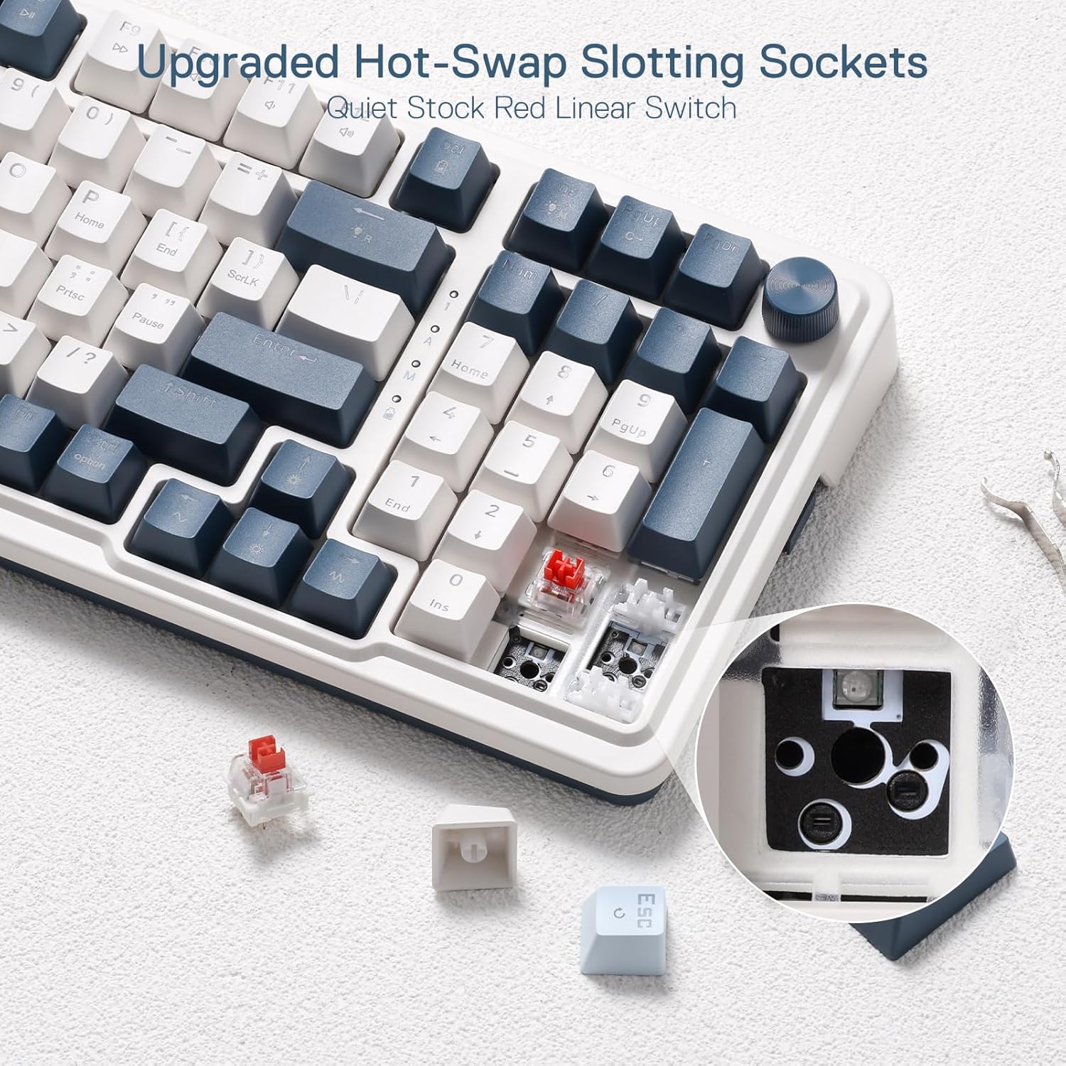 DE 9 (
F9 DD Upgraded Hot-Swap Slotting Sockets 0 Quiet Stock Red Linear Switch LBC
>
P Home }] End ]} 3 ScrLK Prtsc 1 15 Pause /? Entri 1Shift option
9 ne A 7 M Home 3  5 1 End 2
 9 PgUp
Dr
C
M
0 Ins
ESC