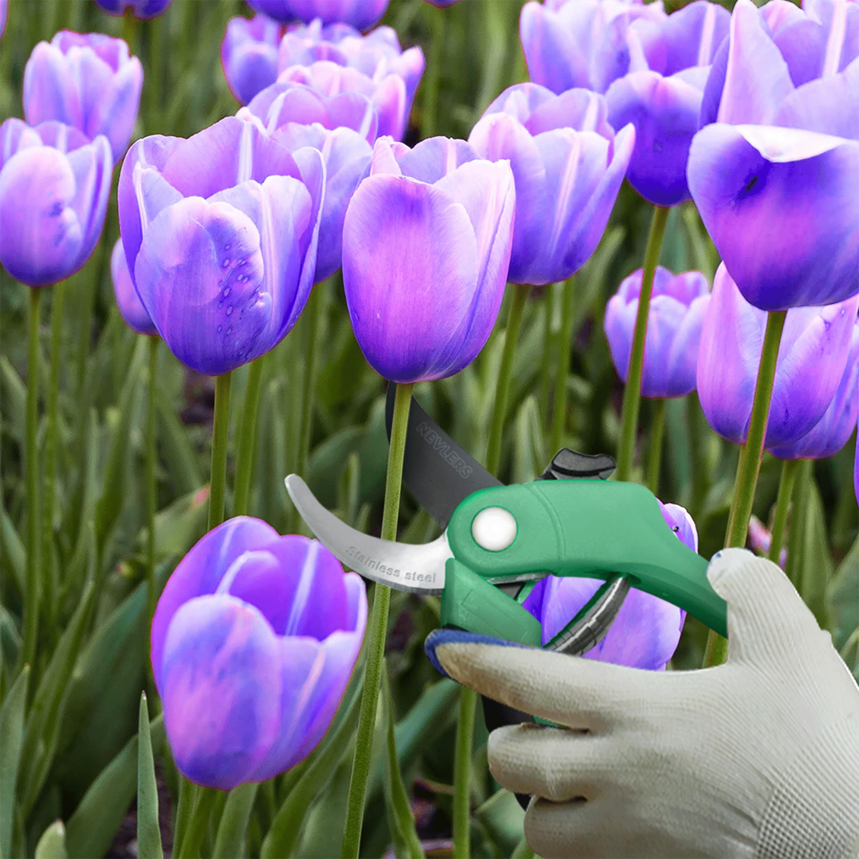 NEVLERS Stainless steel