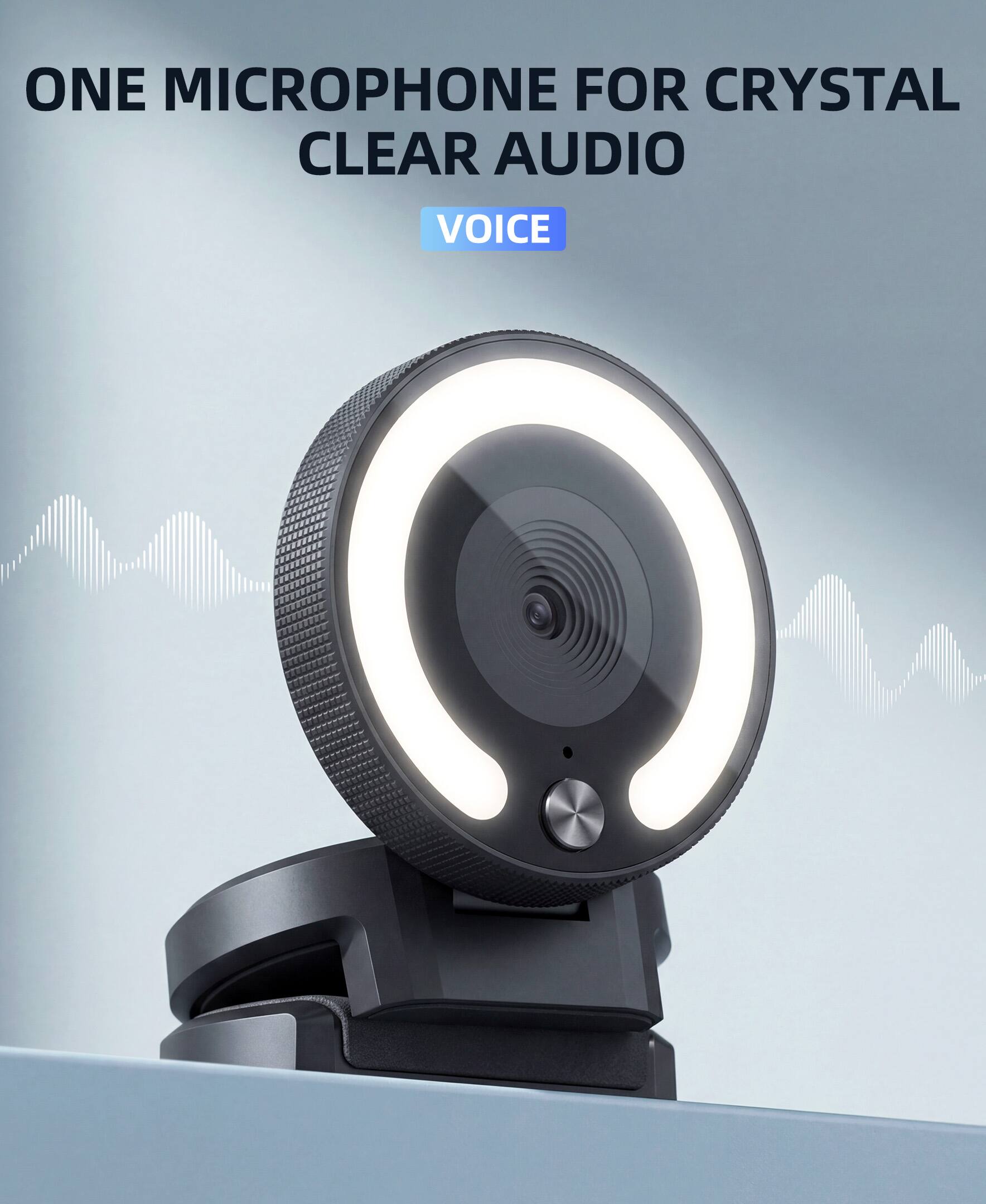 ONE MICROPHONE FOR CRYSTAL CLEAR AUDIO
VOICE