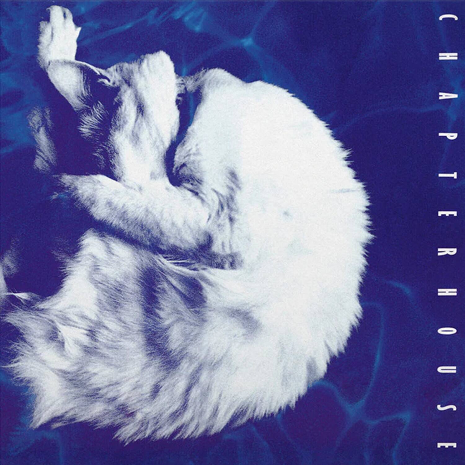 Front. Chapterhouse - Whirlpool - Limited 180-Gram White & Black Marble Colored Vinyl   - VINYL LP.