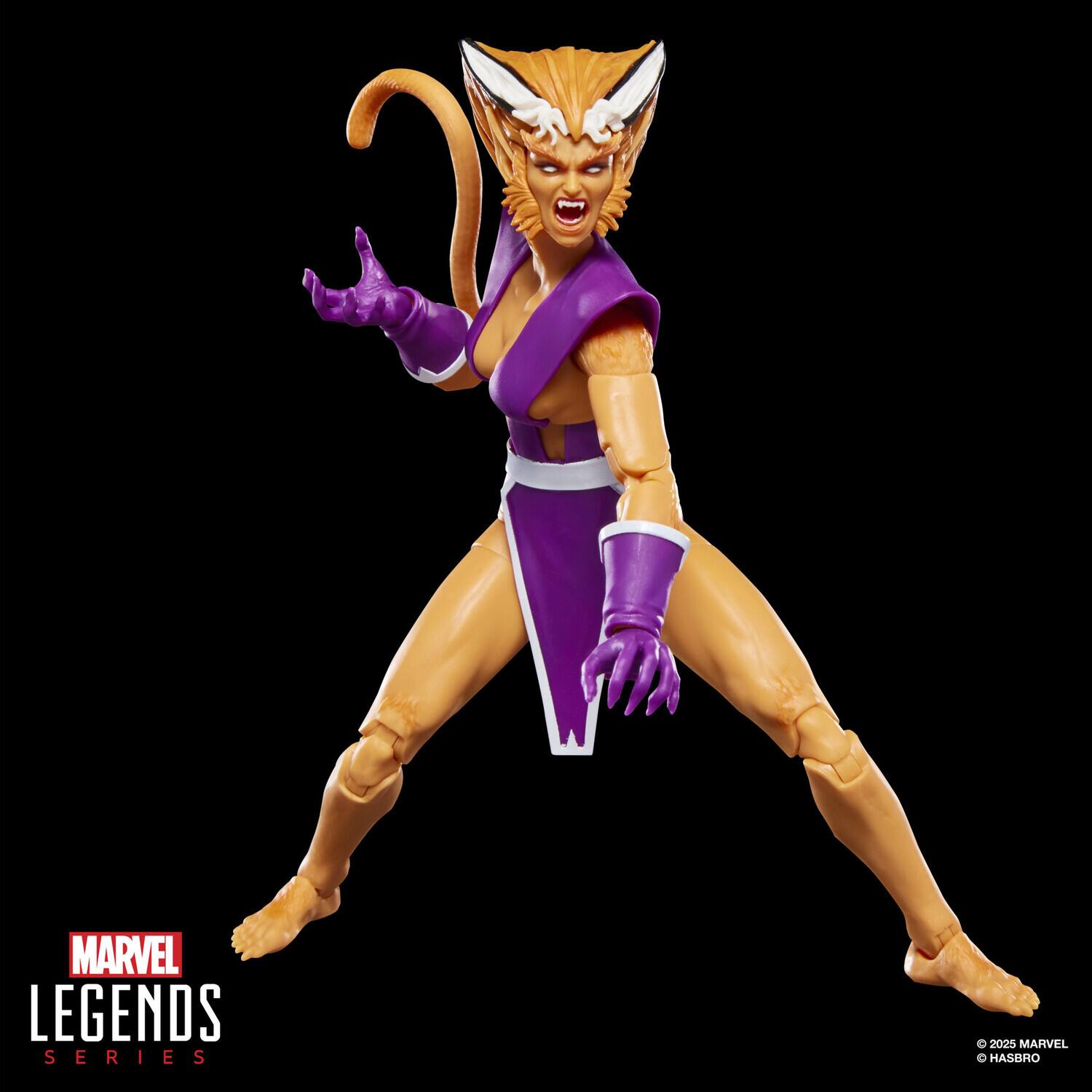 MARVEL LEGENDS SERIES  
© 2025 MARVEL  
© HASBRO