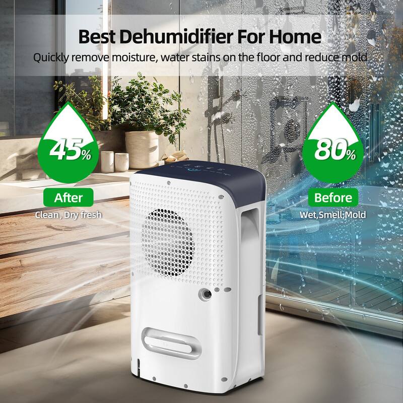Best Dehumidifier For Home

Quickly remove moisture, water stains on the floor and reduce mold

45% After
Clean, Dry fresh

80% Before
Wet, Smell, Mold