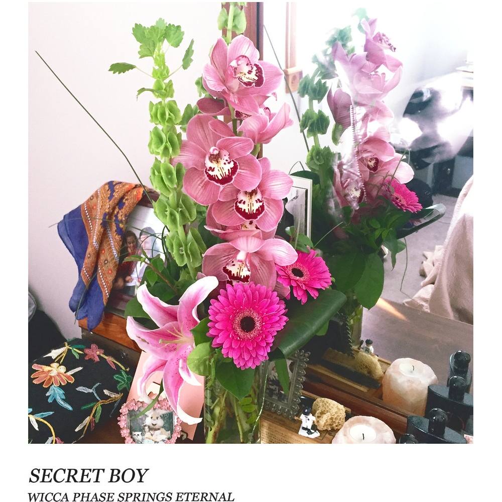 Front. Secret Boy [LP].