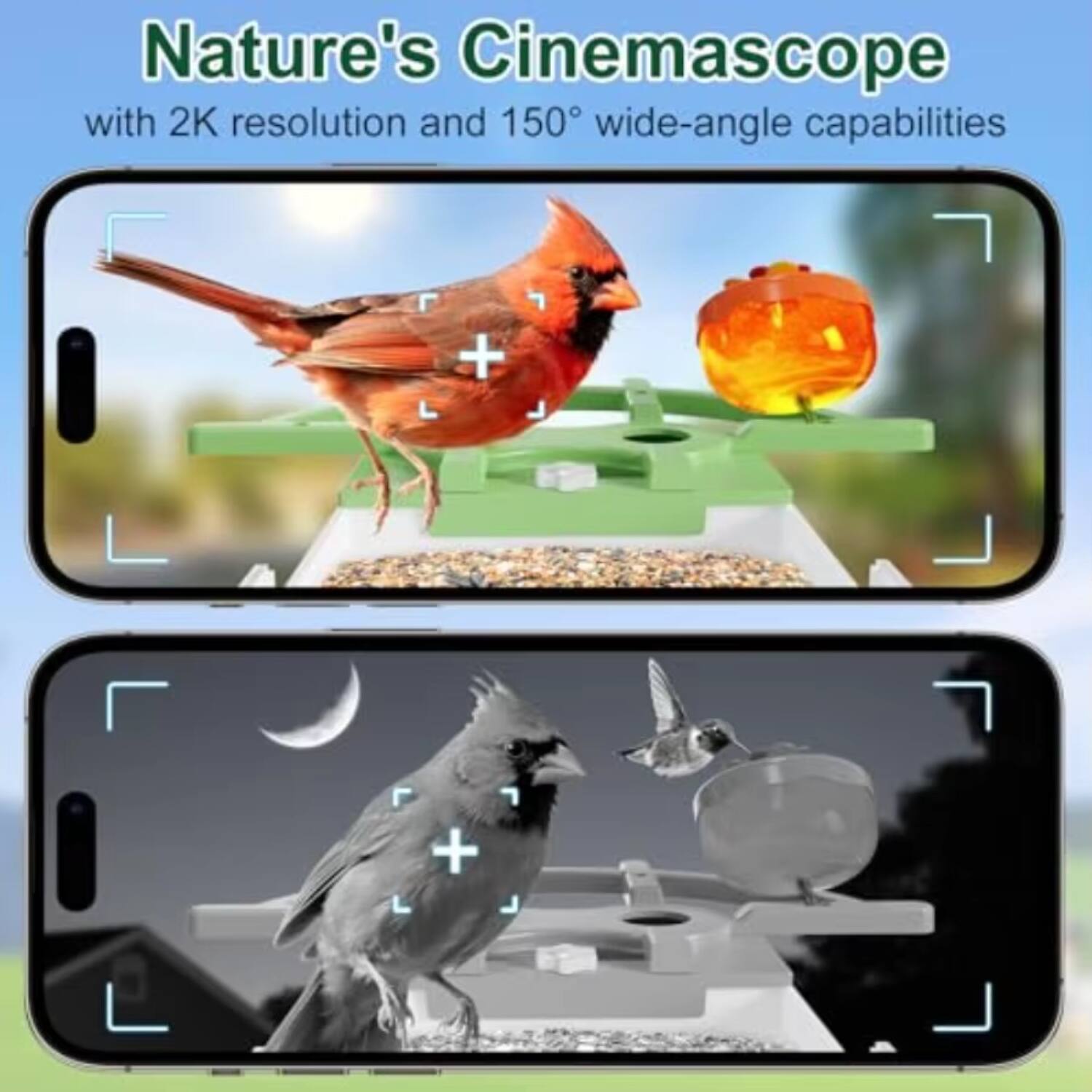 Nature's Cinemascope with 2K resolution and 150° wide-angle capabilities