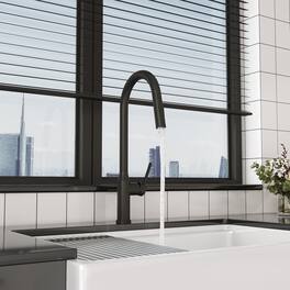 Bothwa Home 18.83" CUPC Certified Pull-down Kitchen Faucet (Matt Black Finish)