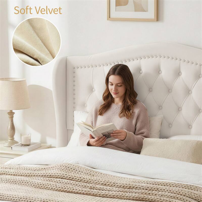 Soft Velvet