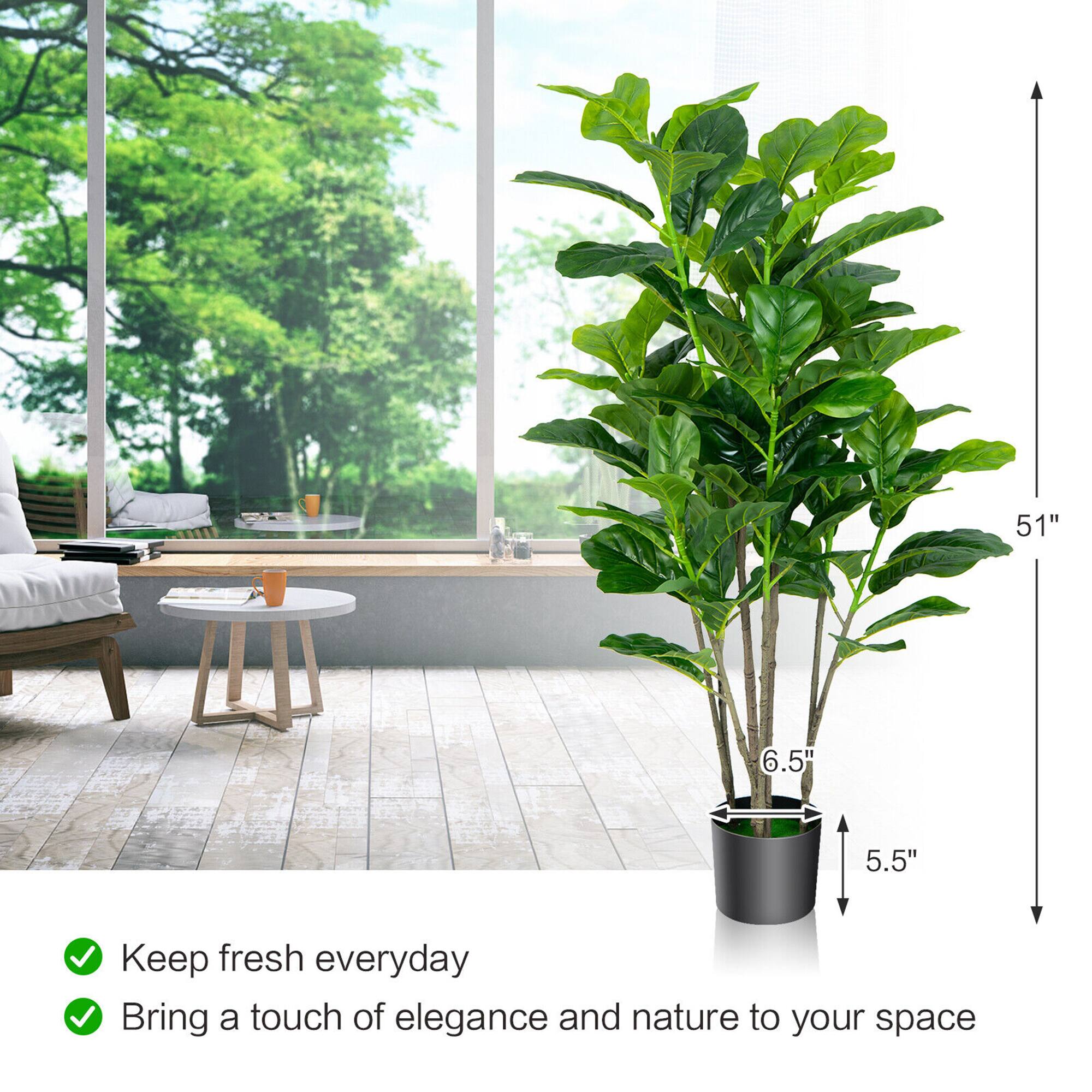 - 51"
- 6.5"
- 5.5"

Keep fresh everyday

Bring a touch of elegance and nature to your space