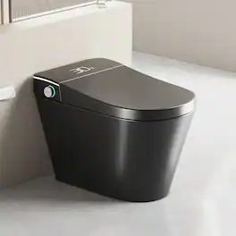 Loheer - One Piece Smart Toilet with Built In Bidet and Automatic Opening Seat - Black