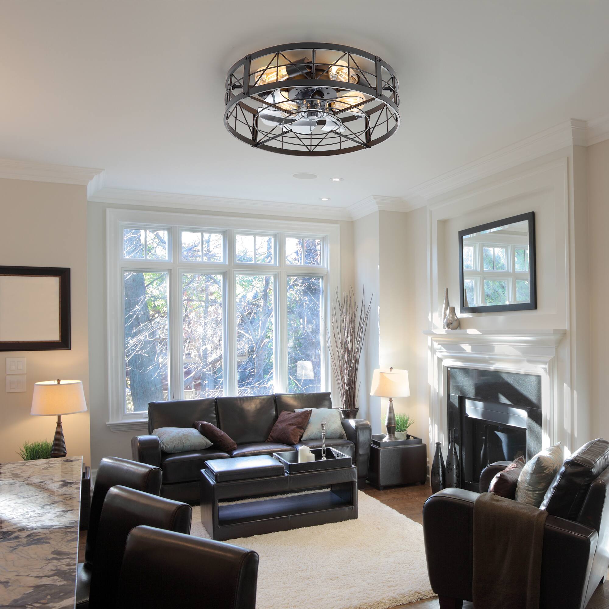 Back. Breezary - 20" Low Profile Caged Ceiling Fan with Remote, 7 ABS Blades, 6 Speeds DC Motor, 4×E26 Lights, Timer - Matte Black.