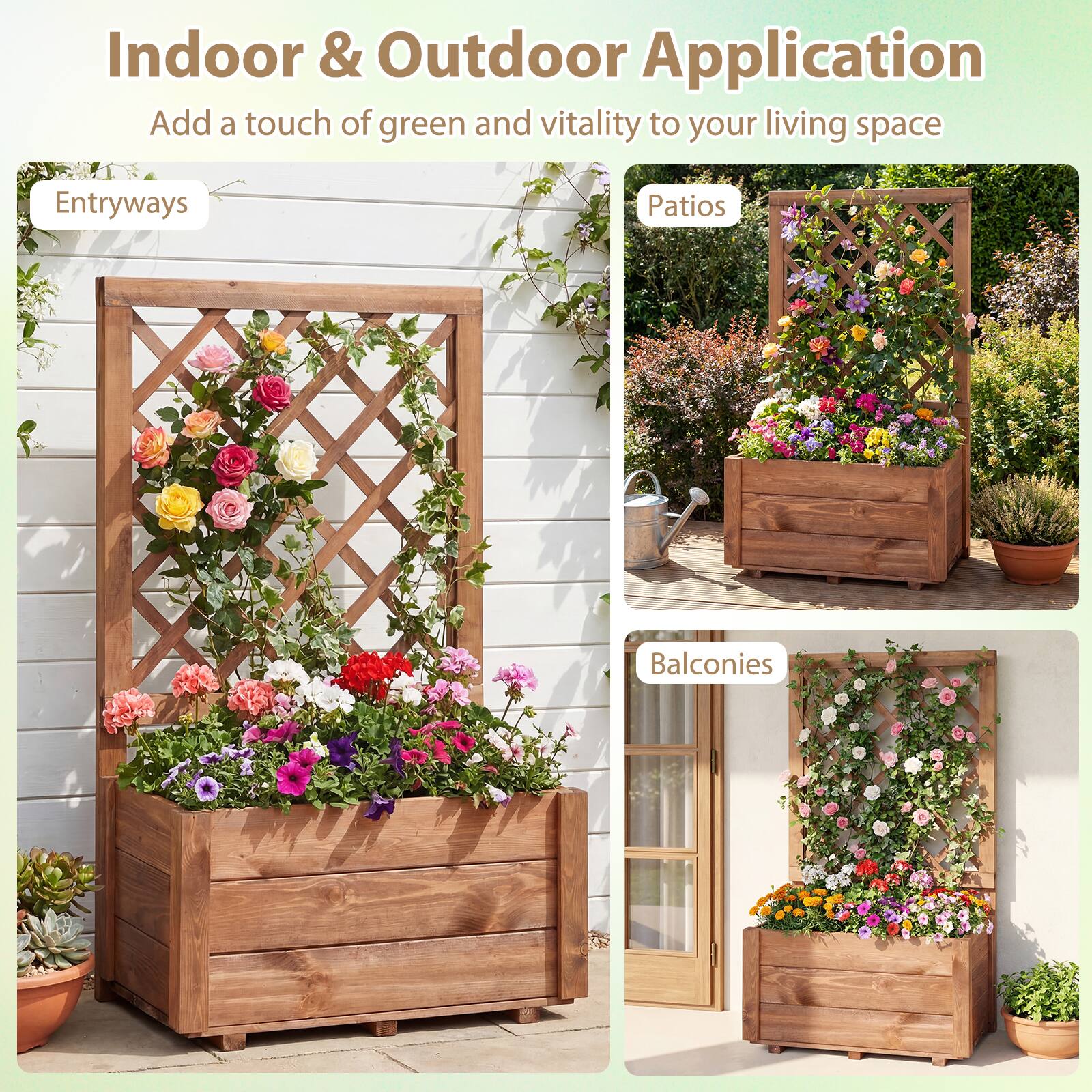 Indoor & Outdoor Application  
Add a touch of green and vitality to your living space  

Entryways  
Patios  
Balconies