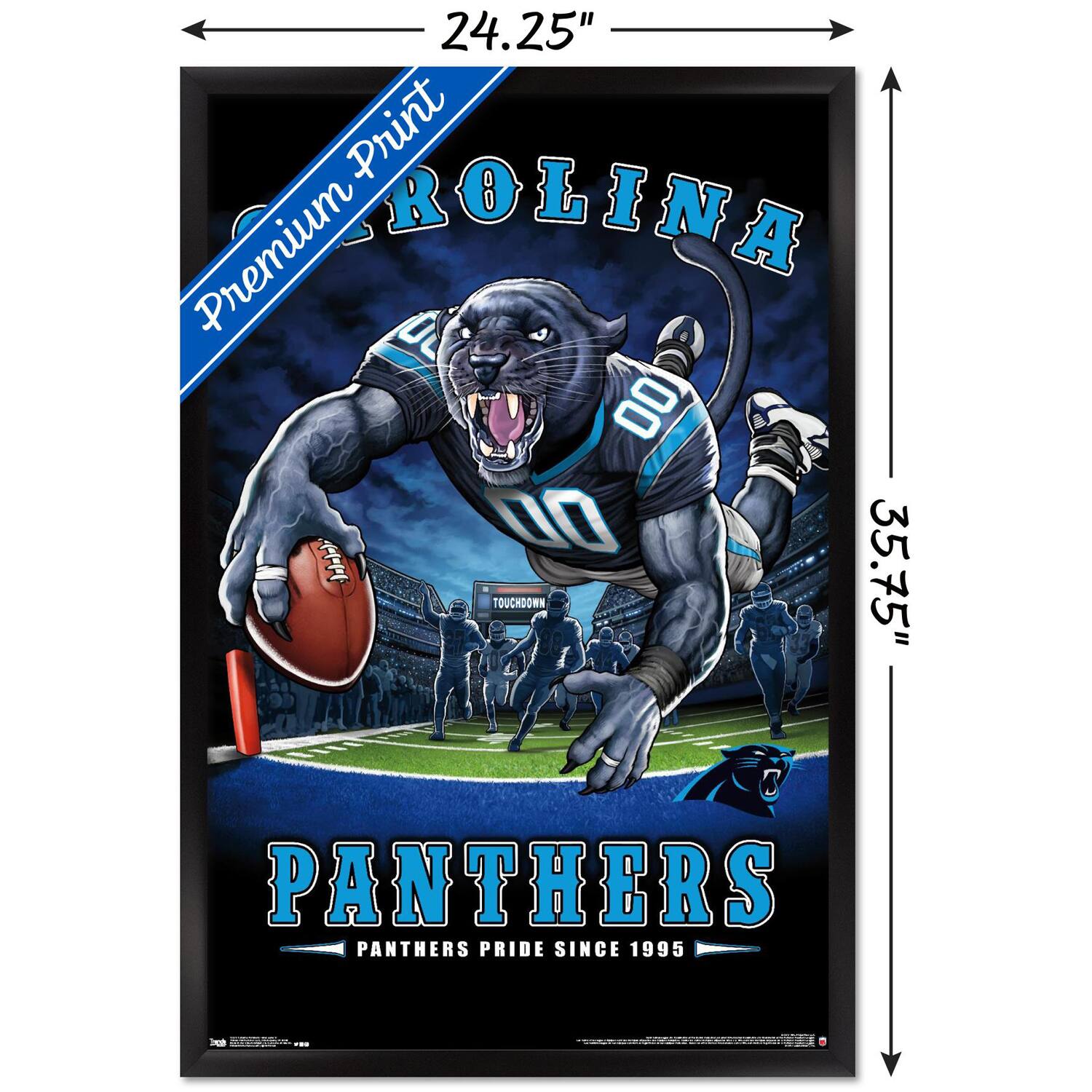 24.25" x 35.75"  
Premium Print  
CAROLINA  
PANTHERS  
PANTHERS PRIDE SINCE 1995  
TOUCHDOWN