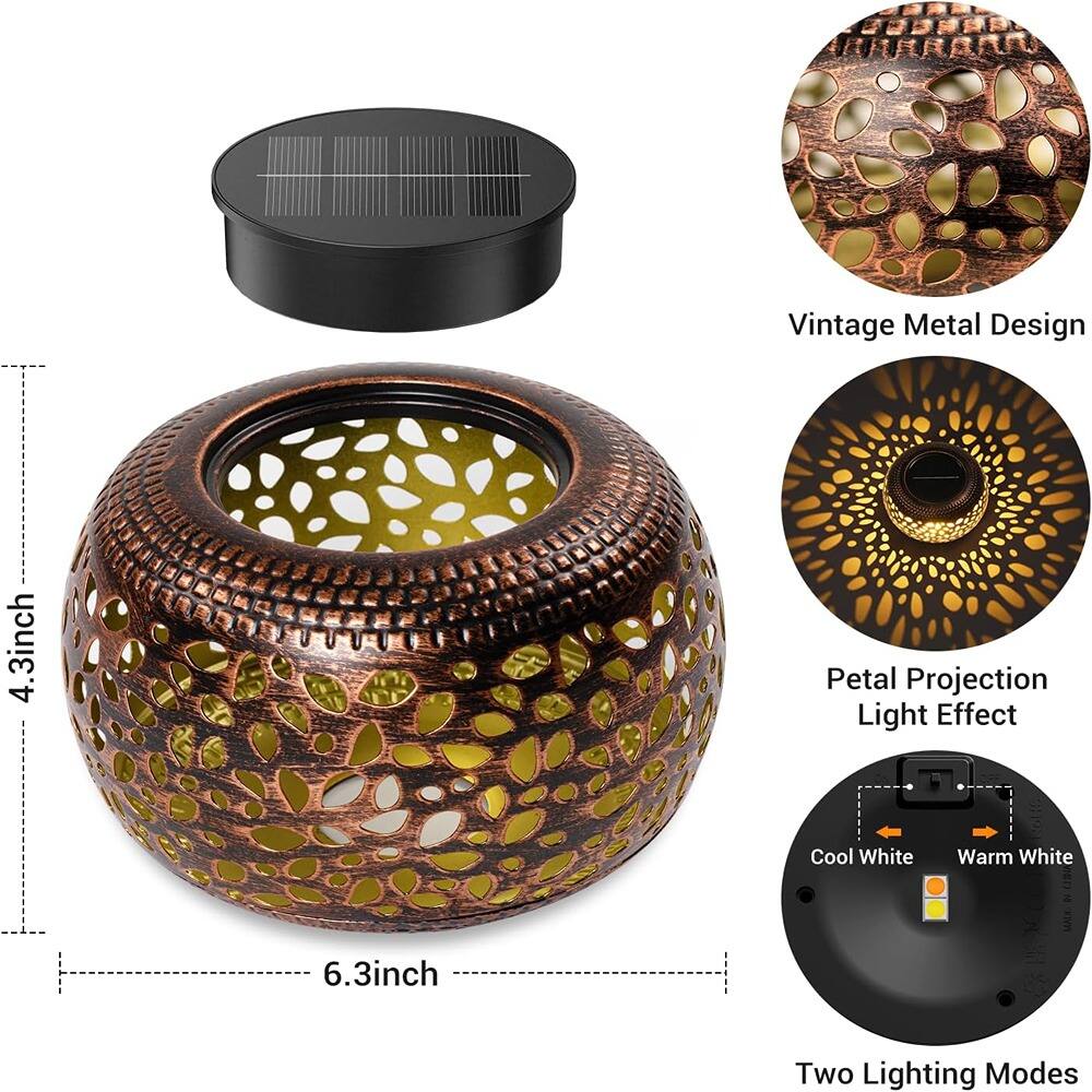 Vintage Metal Design  
4.3 inch Petal Projection Light Effect  
Cool White Warm White  
6.3 inch Two Lighting Modes