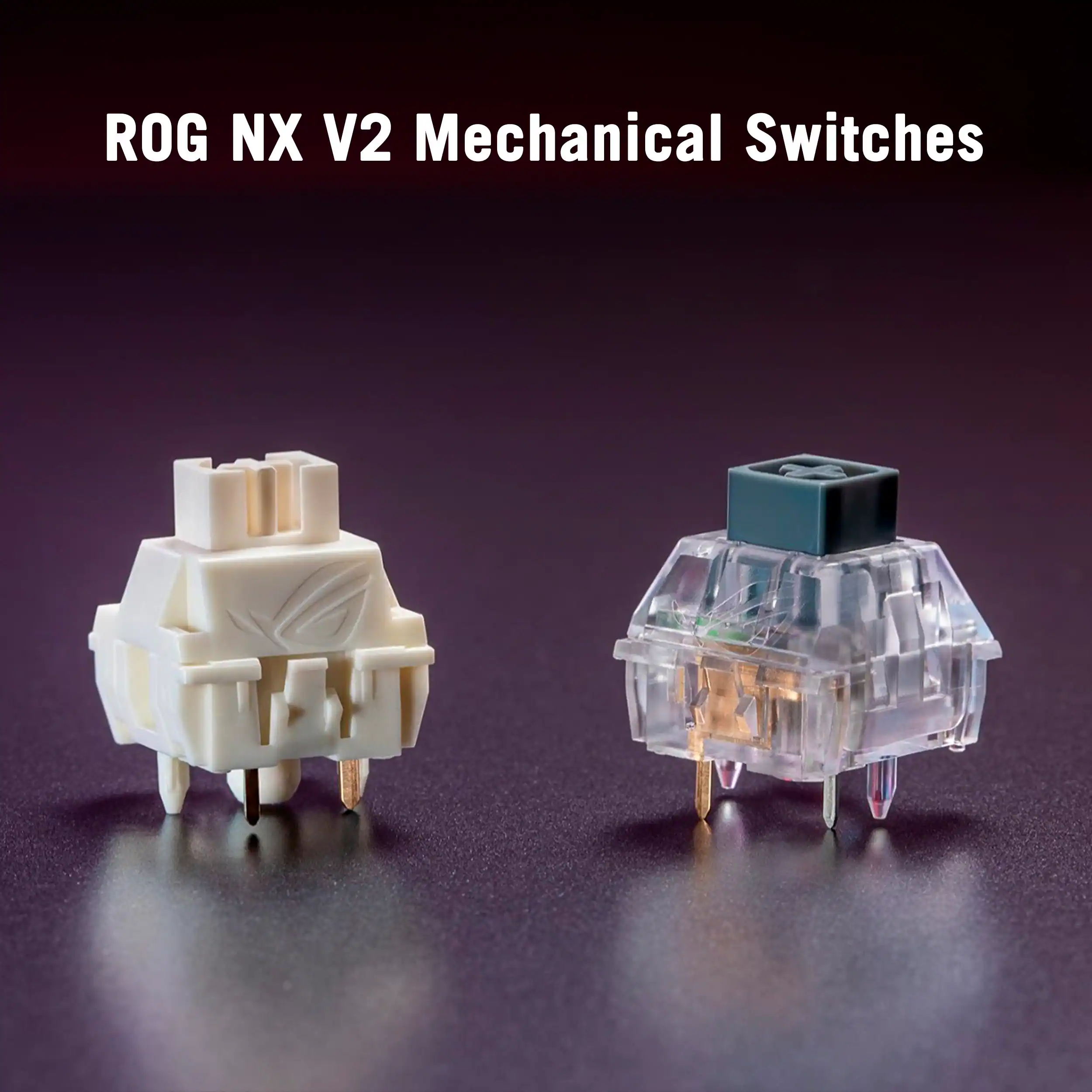 ROG NX V2 Mechanical Switches