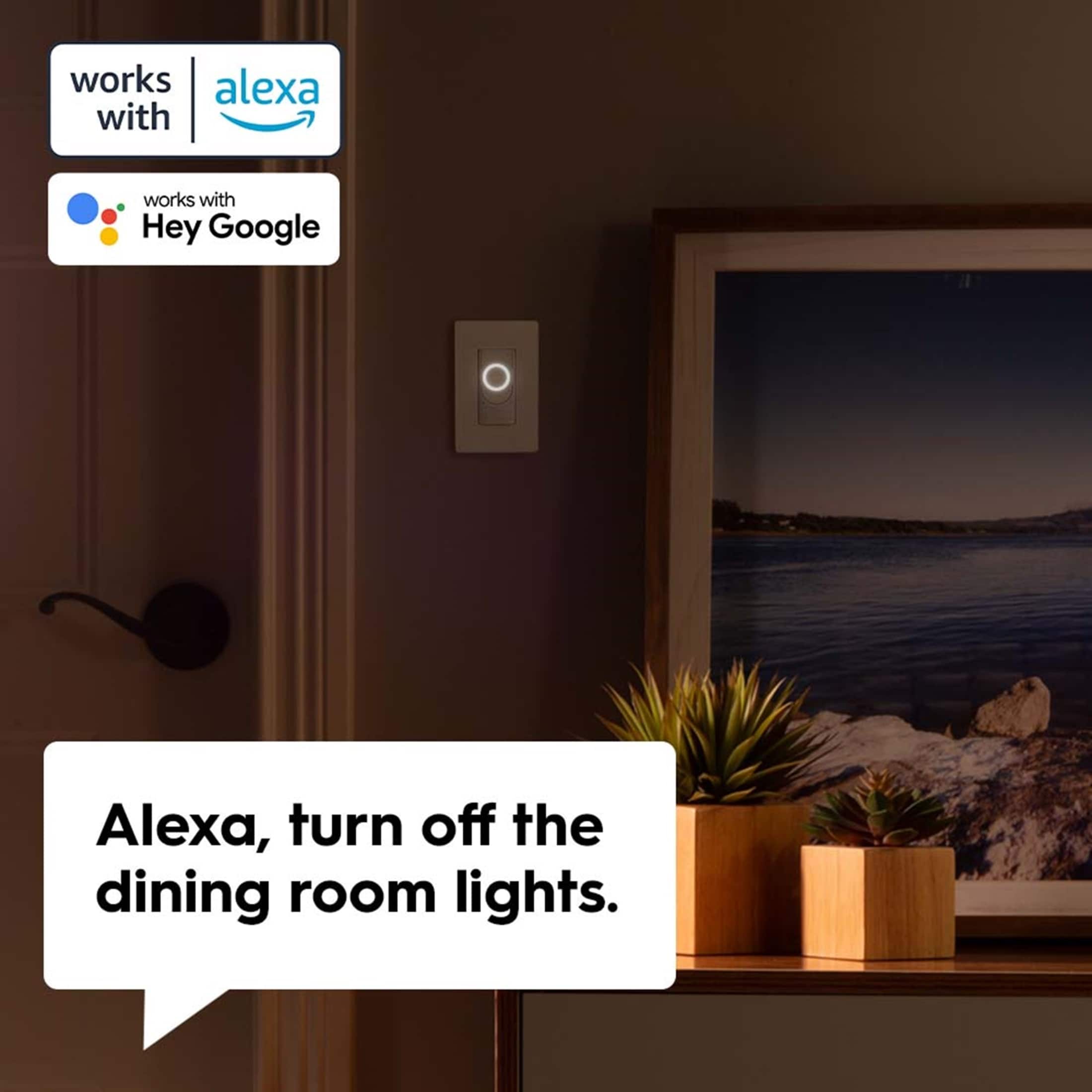 Works with Hey Google Alexa, turn off the dining room lights.