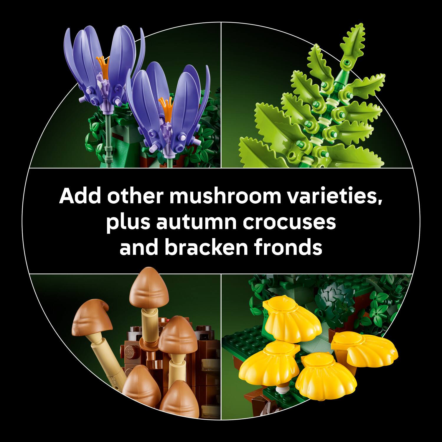 Add other mushroom varieties, plus autumn crocuses and bracken fronds