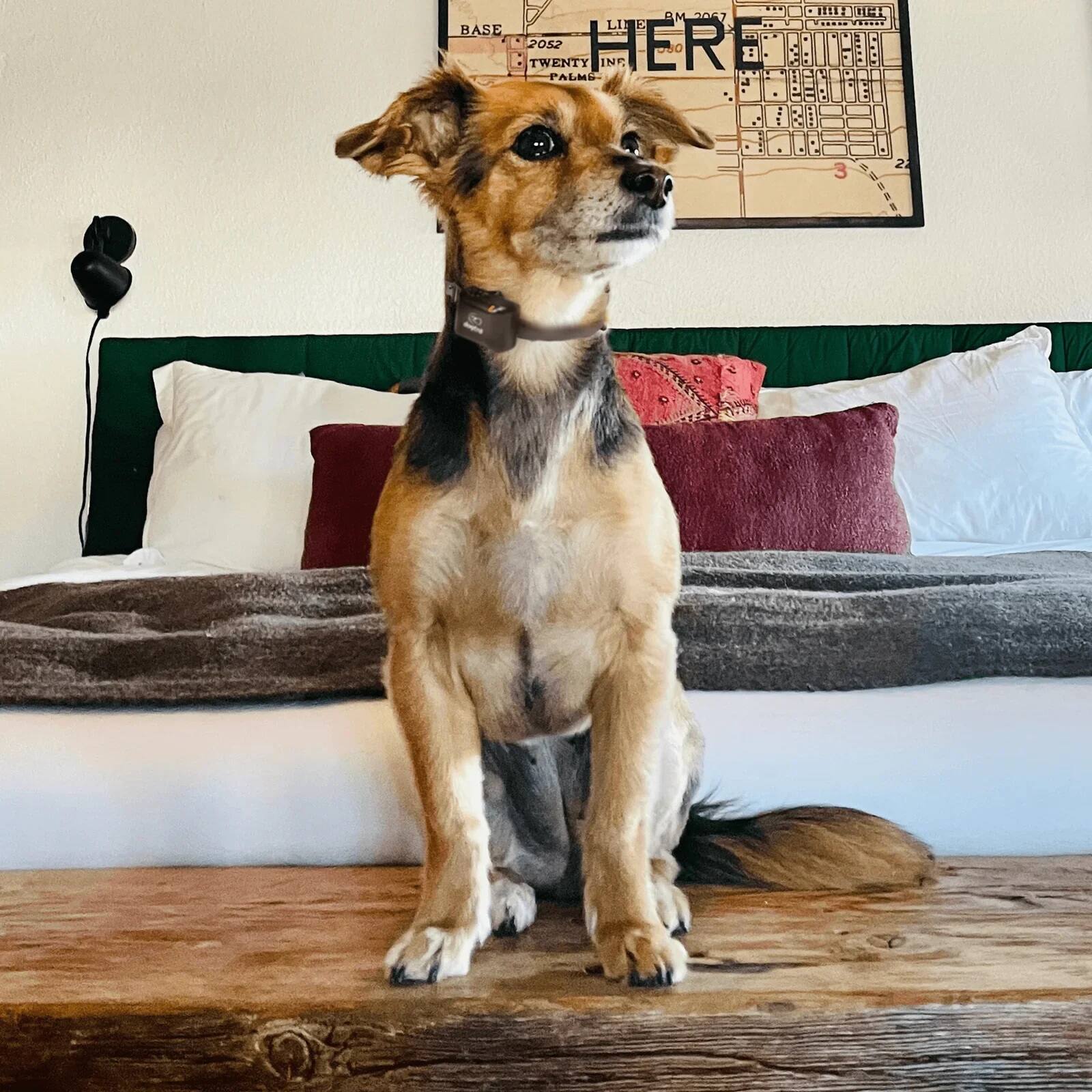 - MALI F. BASE 2052 HERE TO R TWENTY UNI PALME VOLE 032 P d