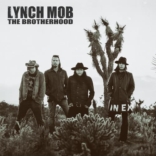 Lynch Mob - The Brotherhood   - COMPACT DISCS [CD] price history on PriceWatchPro