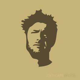 Joey Cape - Bridge - VINYL LP