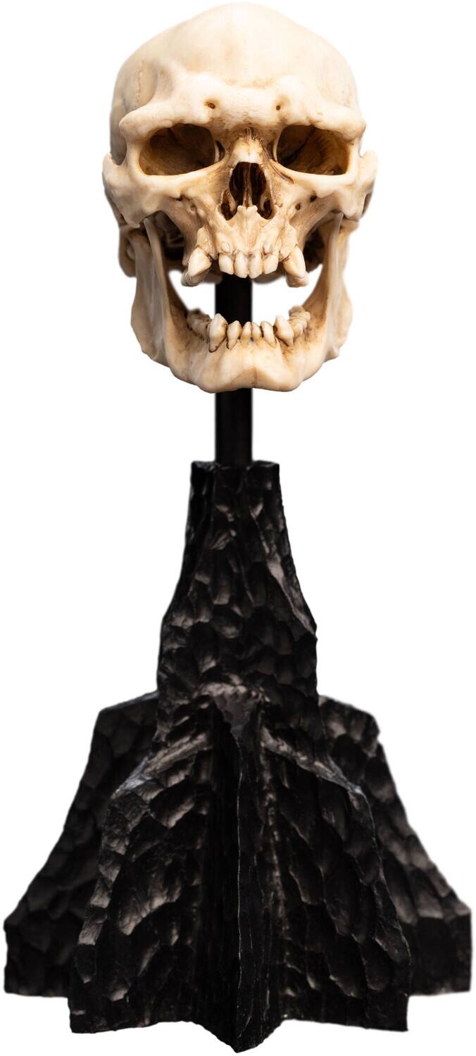 Weta Workshop - Polystone - The Lord of the Rings Trilogy - Skull of a Mordor Orc Miniature Polystone - COLLECTIBLES - Multicolor price history on PriceWatchPro