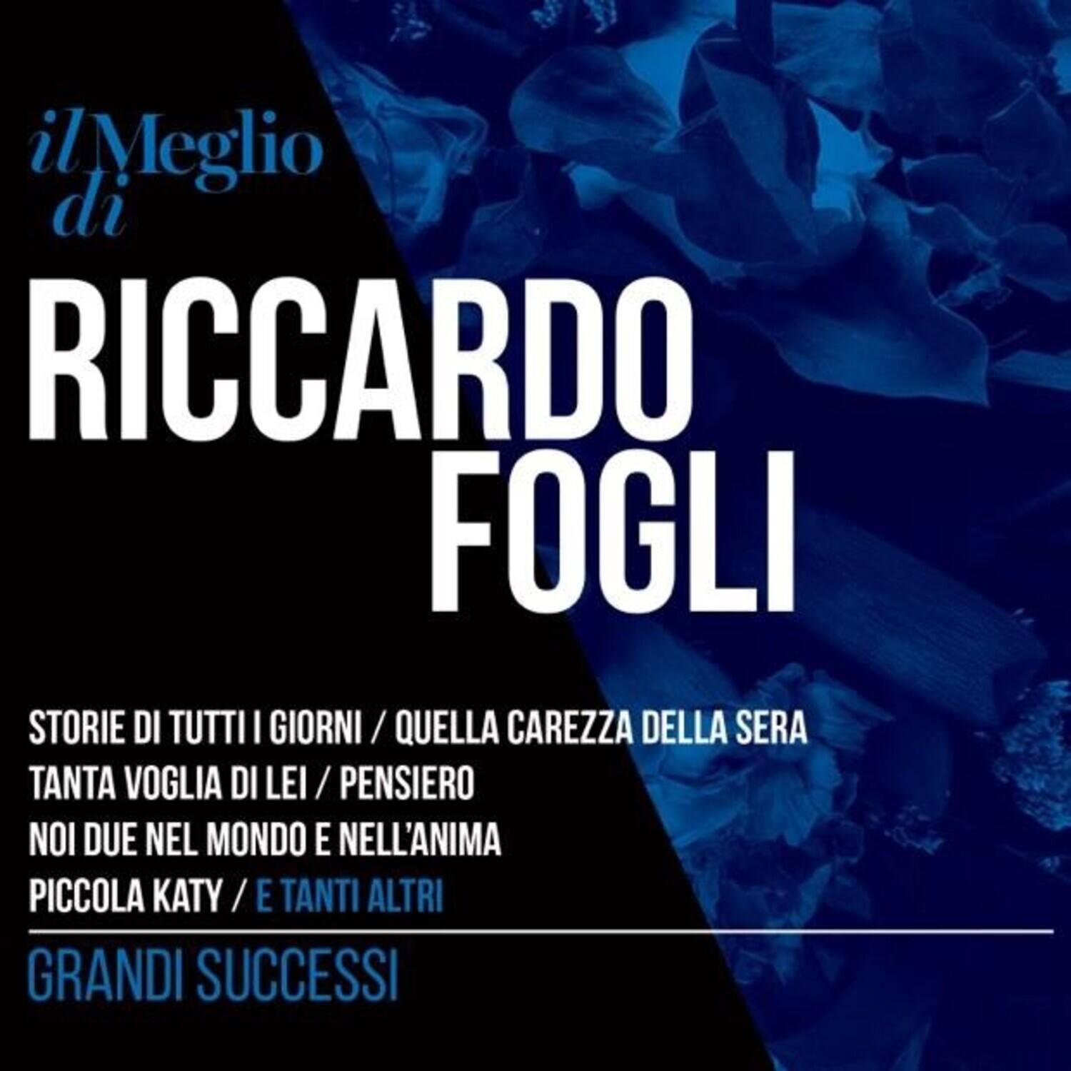il Meglio di Riccardo Fogli  
Storie di Tutti i Giorni / Quella Carezza della Sera  
Tanta Voglia di Lei / Pensiero  
Noi Due nel Mondo e nell'Anima  
Piccola Katy / E Tanti Altri  
Grandi Successi